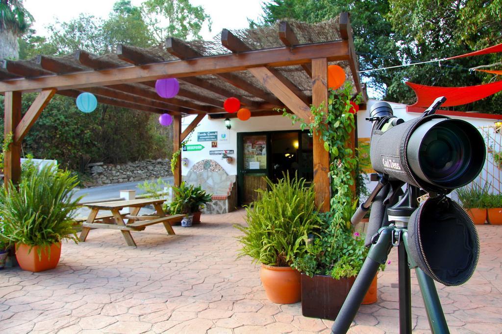 アルヘシラス Complejo Rural Huerta Grandeゲストハウス エクステリア 写真