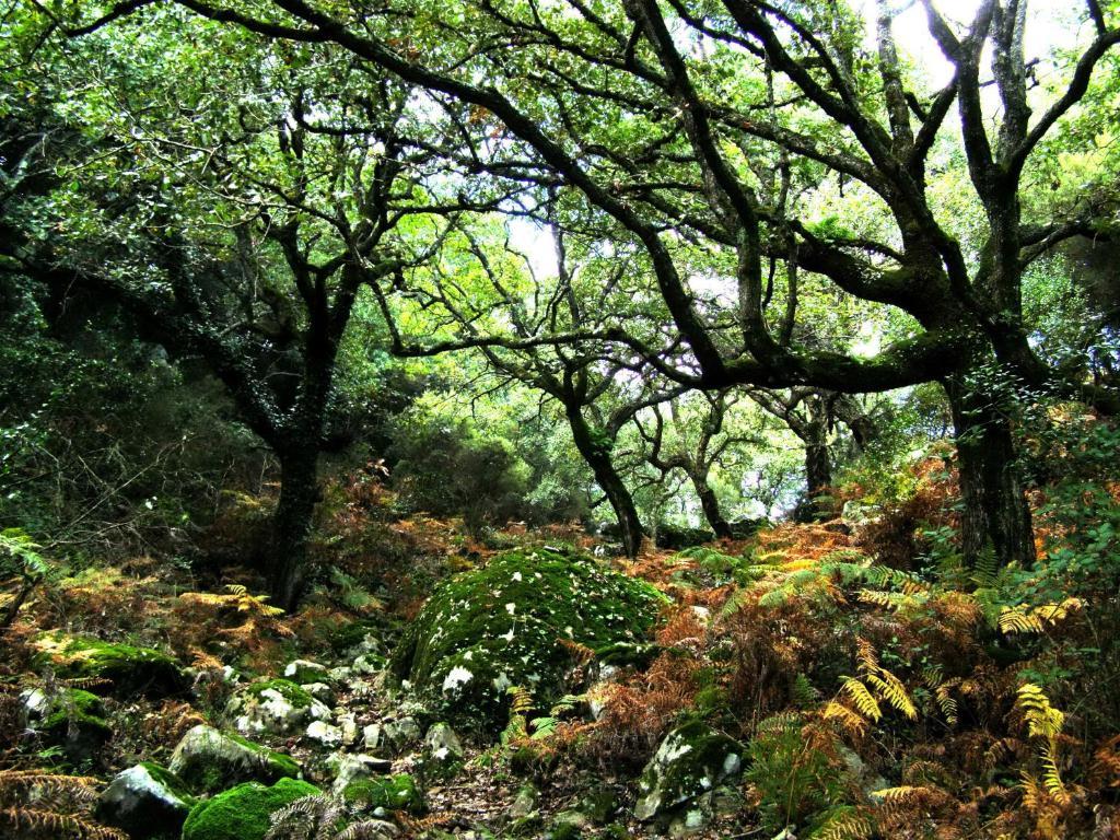 アルヘシラス Complejo Rural Huerta Grandeゲストハウス エクステリア 写真